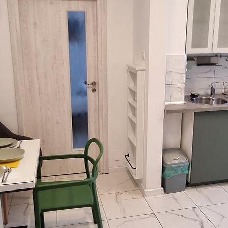 Elisabeta Studio Apartment Βουκουρέστι Εξωτερικό φωτογραφία